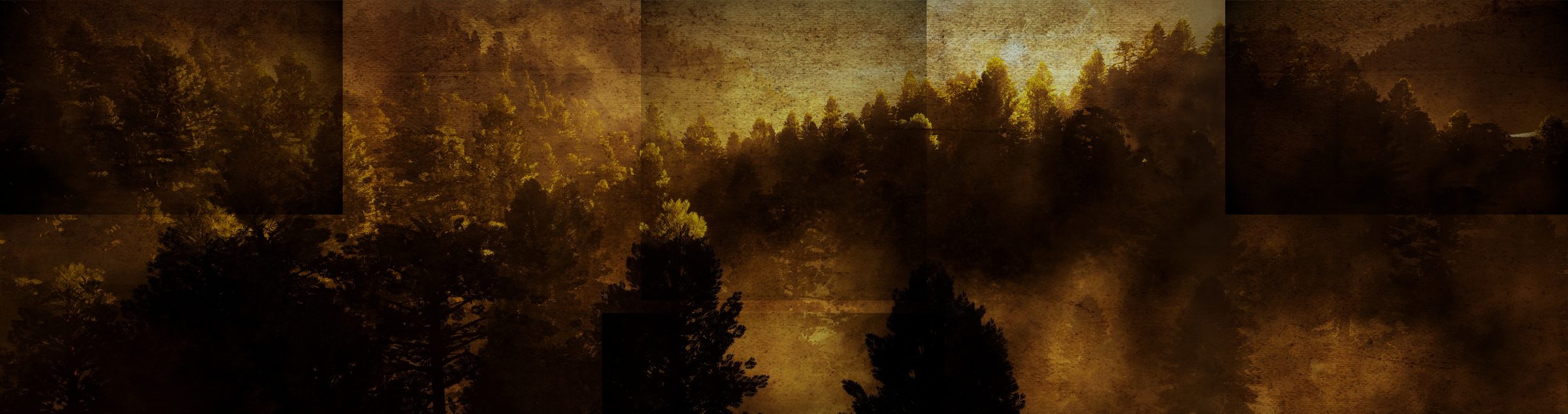 A sepia pine forest in mist, split across screen panels