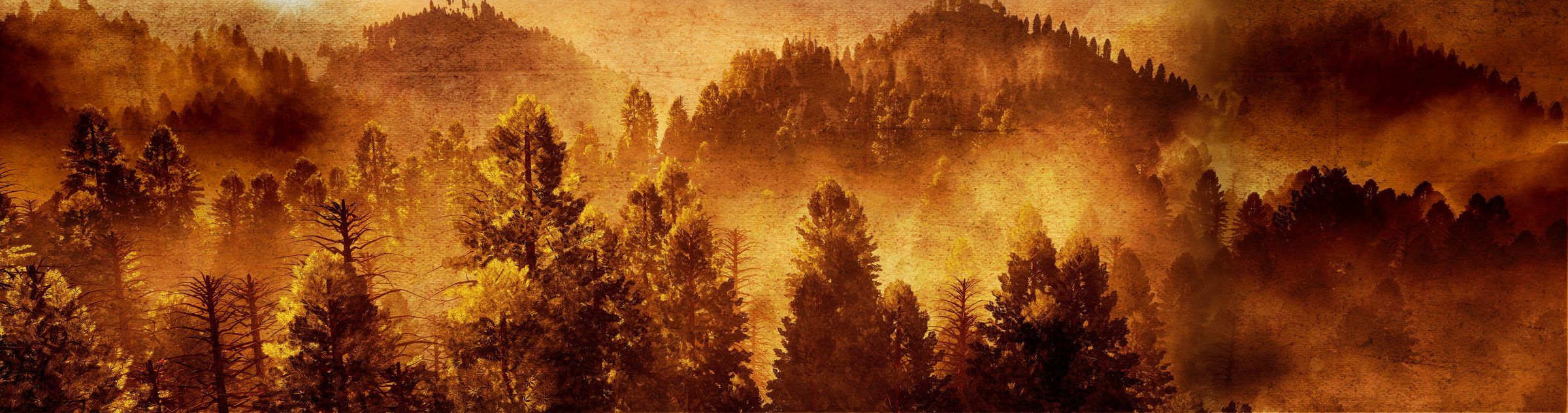 Golden misty pine hills with an aged paper texture