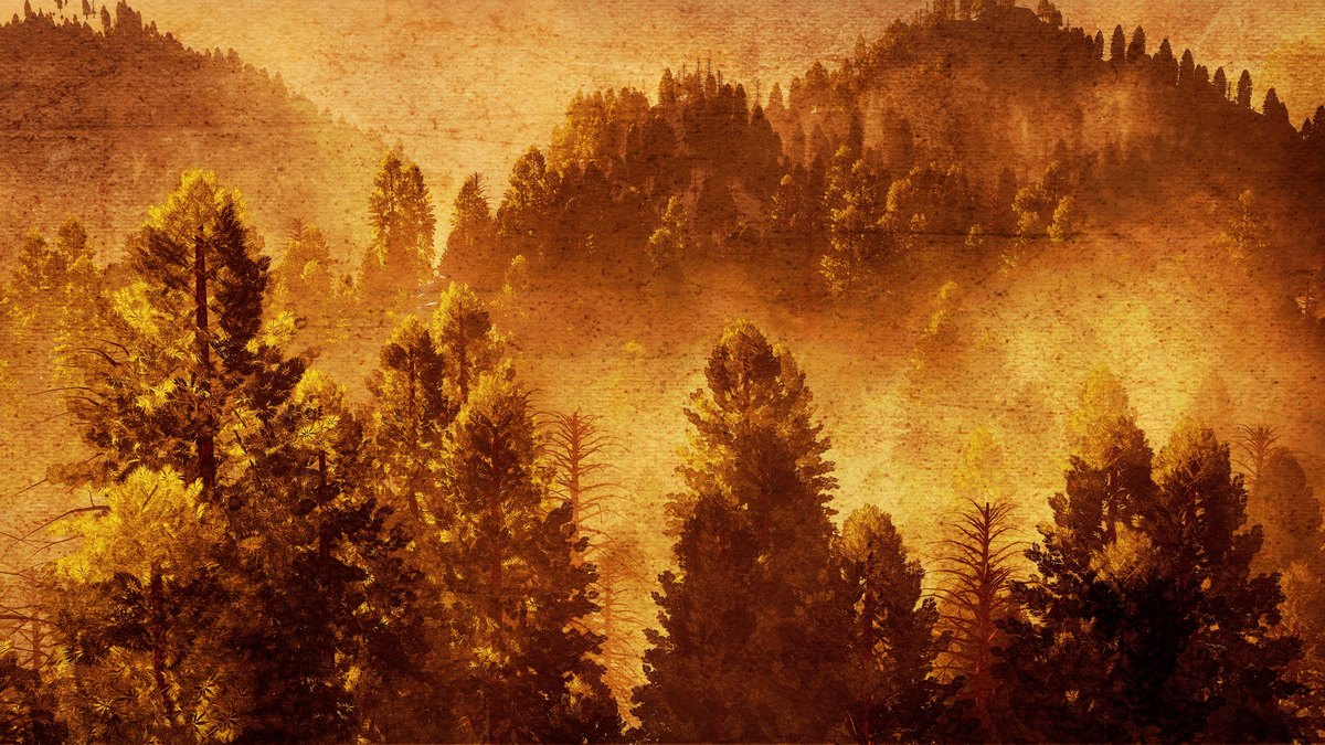 The Lumineers Automatic tour visual: golden misty pine hills with an aged paper texture